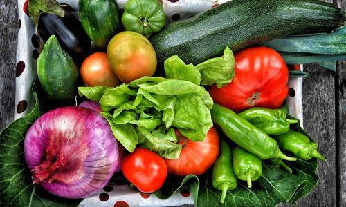 瓜爸吃生蔬菜,探索健康生活的绿色秘籍