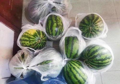 文严文吃瓜,揭秘娱乐圈幕后故事