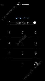 吃瓜先锋软件下载,下载体验与功能解析