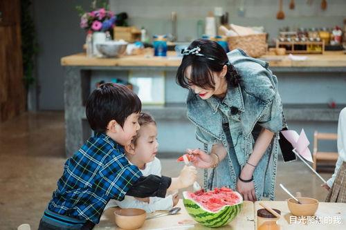奇妙小森林吃瓜,一场吃瓜盛宴的奇幻之旅