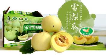 广东吃瓜视屏,揭秘当地独特美食文化