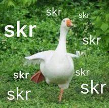 最近流行的吃瓜,揭秘近期热门吃瓜事件大盘点