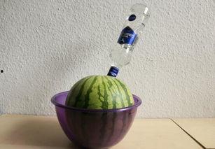 最近流行的吃瓜,揭秘近期热门吃瓜事件大盘点