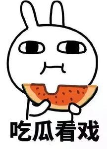 吃瓜君的日常,揭秘娱乐圈幕后故事