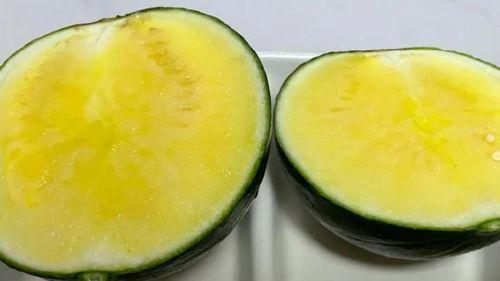 吃瓜天堂吃瓜优品,尽享吃瓜优品盛宴