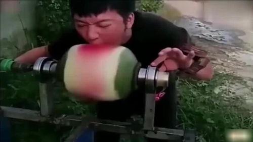 吃瓜比赛输了,吃瓜高手遗憾失利