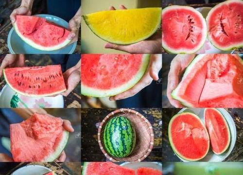 沙瓜和脆瓜吃的区别,口感与营养的差异化体验