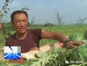 吃瓜群众求助渠道