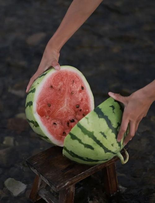瓜地里吃西瓜,夏日西瓜的甜蜜诱惑