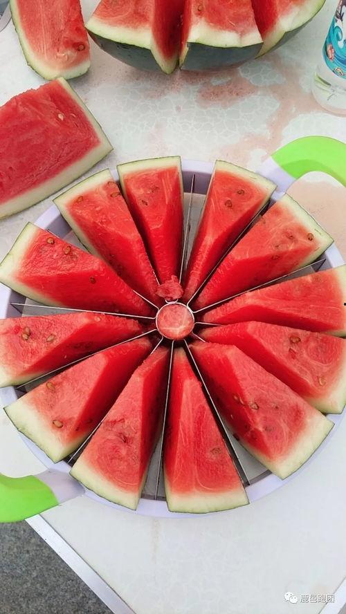 吃瓜大赛英文,Summertime Spectacle: The Thrilling Tale of the International Watermelon Eating Championship!