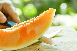 姨妈期间可以吃花蜜瓜,花蜜瓜的甜蜜滋养