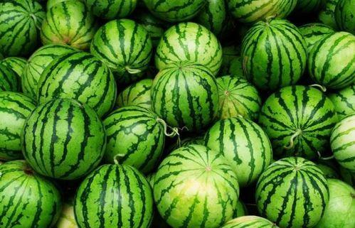 吃瓜的sier,吃瓜群众眼中的明星幕后故事