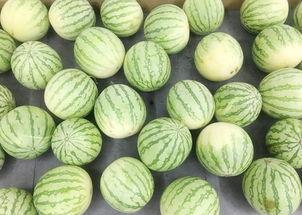 迅雷真吃瓜,揭秘互联网巨头背后的真实故事