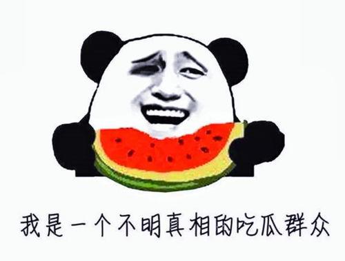 新号开播内娱吃瓜,内娱吃瓜盛宴来袭！