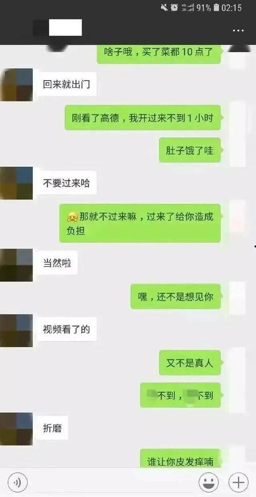 吃瓜聊天记录黄色瓜最新,吃瓜聊天记录中的黄色瓜，真相究竟如何？