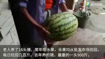 吃瓜了吗视频,热门视频背后的娱乐真相