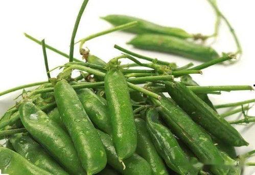 吃瓜小能手csz,揭秘娱乐圈幕后故事