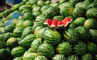 吃瓜之变,揭秘网络舆论的演变与影响