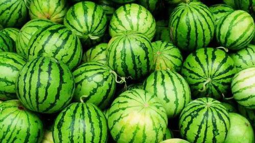 吃瓜和工作,双重身份下的生活感悟