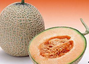 观察家吃哈密瓜,观察家品味哈密瓜的甜蜜时光
