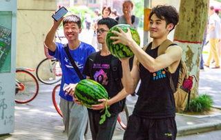 河南吃瓜学校,揭秘校园里的趣味生活点滴