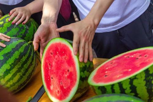 河南吃瓜学校,揭秘校园里的趣味生活点滴