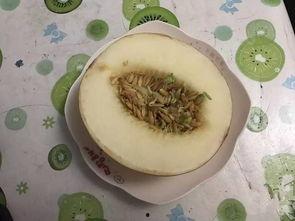 瓜大姐吃粉丝,瓜大姐的粉丝美食之旅