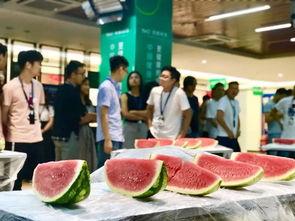 武汉吃瓜大赛,一场舌尖上的狂欢盛宴