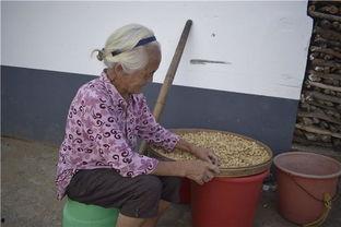 面瓜老人吃,探寻传统美食背后的故事
