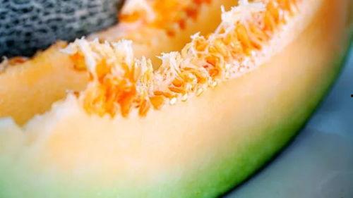 吃瓜视频夏天清凉,吃瓜视频带你畅享清凉一夏