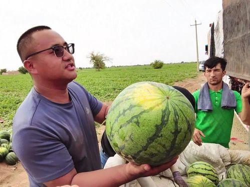 临夏最新吃瓜新闻视频,揭秘当地热门事件视频背后的真相