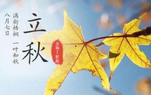 幼儿园立秋吃瓜视频文案,幼儿园萌娃欢乐吃瓜，共享秋日甜蜜时光