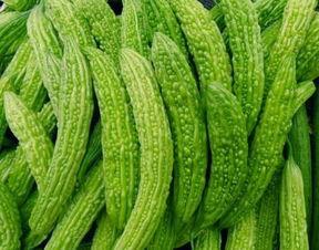 主动提出吃瓜视频