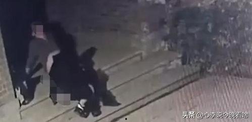 吃乌骨瓜视频完整版,视频完整版深度解析