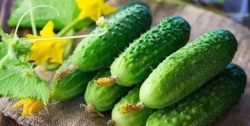 吃乌骨瓜视频完整版,视频完整版深度解析