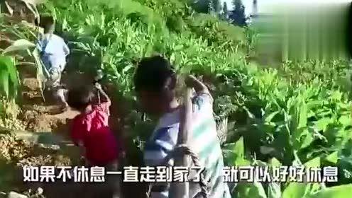 拍卖女友吃瓜视频大全下载,拍卖女友吃瓜视频大全下载全攻略