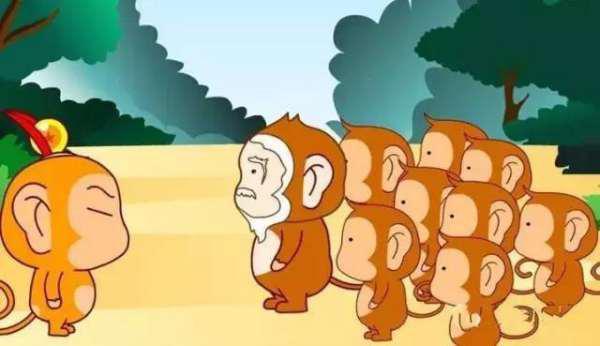 猴王吃瓜的故事表演视频,一场欢乐的森林盛宴