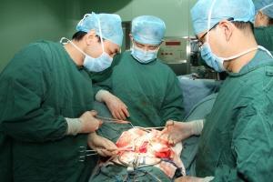 茭瓜适合手术后吃吗视频,茭瓜的营养价值与适宜食用指南