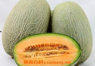 河南吃哈密瓜的视频是真的吗,真伪辨析