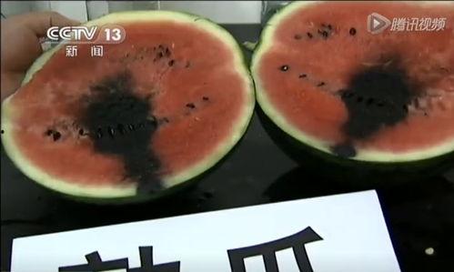 吃瓜怎么打广告视频,创意视频教你轻松吸睛