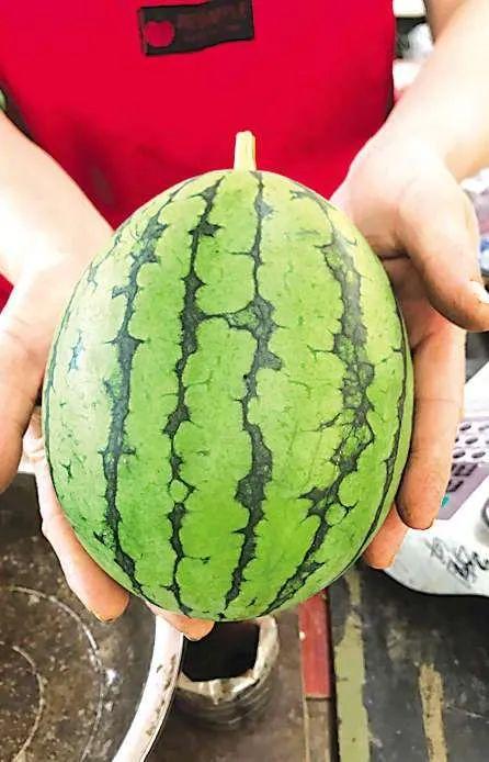 青岛群众吃瓜视频,欢乐氛围,共享夏日时光