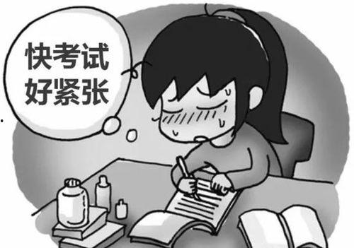 高考减压视频父母吃瓜,父母“吃瓜”助力孩子轻松迎考