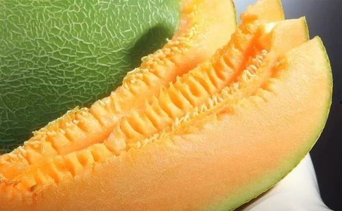 靓仔吃蜜瓜视频大全