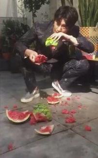 康县吃瓜老头事件视频最新,真相揭秘与网络舆论风暴