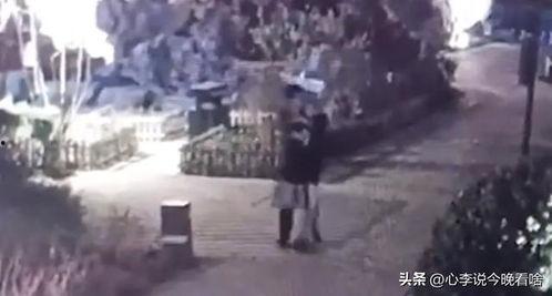 朝阳吃瓜视频完整版,一场全民狂欢的幕后真相