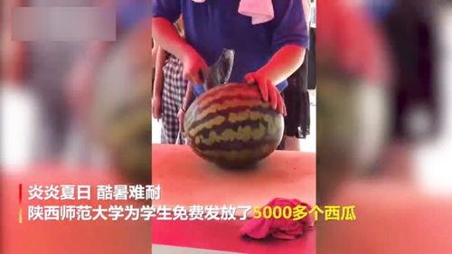 各大学校吃瓜视频,揭秘各大高校的美食风云录